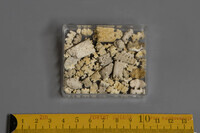 F 11109
<br/>
<br/>
<em></em>